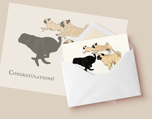 Pug folding card with envelope "Congratulations!"
